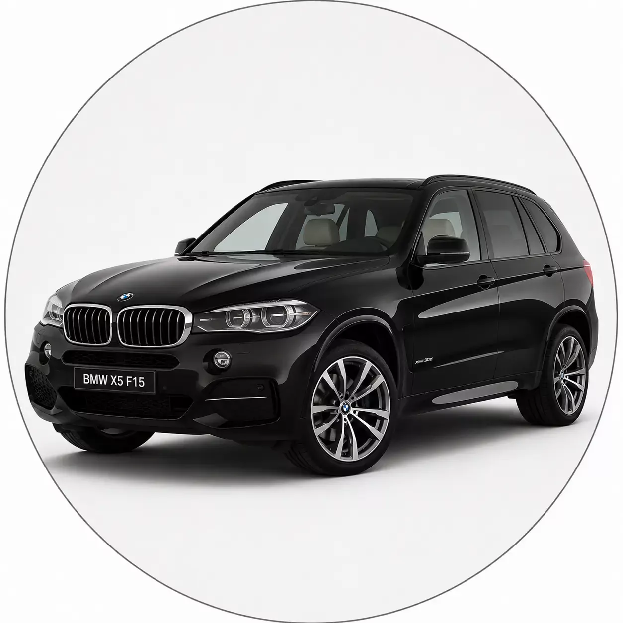 BMW F15 X5 (2013–2018)